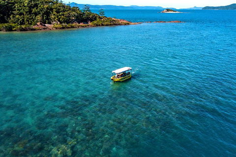 Airlie Beach Glass Bottom Boat Tour - Tourism Noosa 4