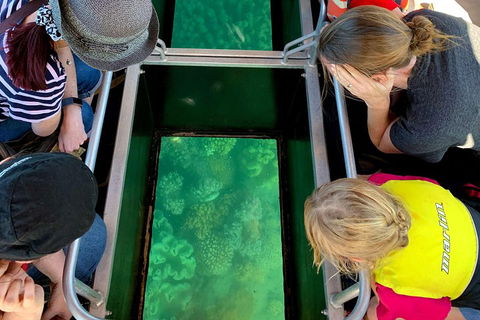 Airlie Beach Glass Bottom Boat Tour - Tourism Noosa 5