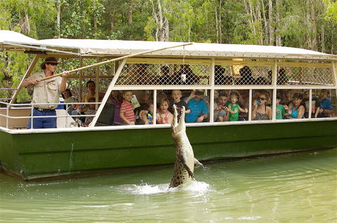 Hartley's Crocodile Adventure Half-Day Tour - Tourism Noosa 0
