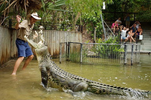 Hartley's Crocodile Adventure Half-Day Tour - Tourism Noosa 2