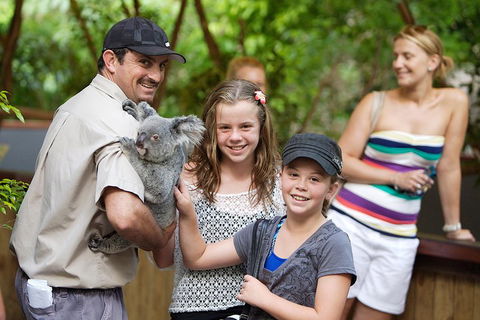 Hartley's Crocodile Adventure Half-Day Tour - Tourism Noosa 3