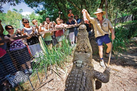 Hartley's Crocodile Adventure Half-Day Tour - Tourism Noosa 4