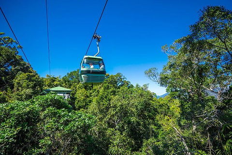 Skyrail Rainforest Cableway Day Trip From Cairns - Tourism Noosa 1