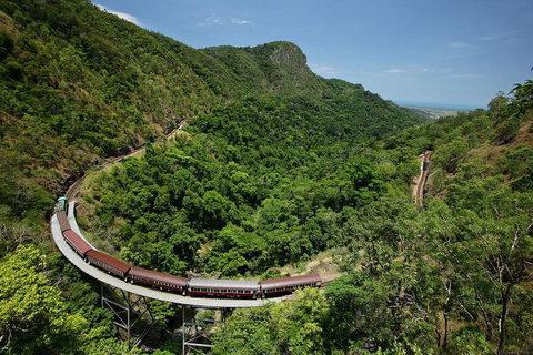 Skyrail Rainforest Cableway Day Trip From Cairns - Tourism Noosa 5