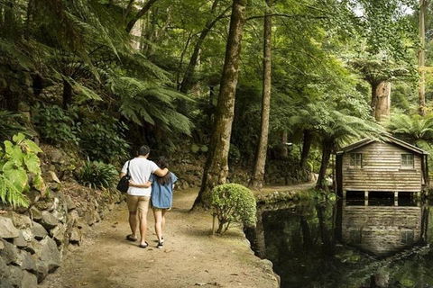 Discover Tour: Dandenong Ranges & William Ricketts Sanctuary - Tourism Noosa 0