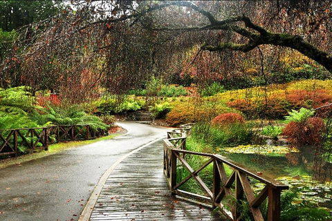 Discover Tour: Dandenong Ranges & William Ricketts Sanctuary - Tourism Noosa 3