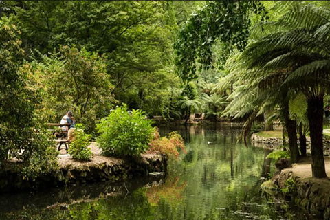 Discover Tour: Dandenong Ranges & William Ricketts Sanctuary - Tourism Noosa 4