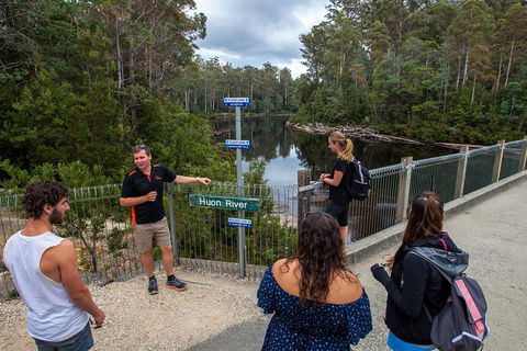 Tahune Airwalk Active Day Trip From Hobart Including Hastings Caves - Tourism Noosa 1