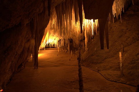 Tahune Airwalk Active Day Trip From Hobart Including Hastings Caves - Tourism Noosa 4