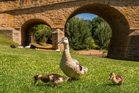 Richmond Historic Afternoon Tour From Hobart - Tourism Noosa 1