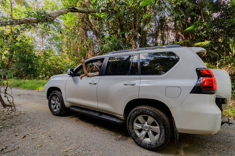 Full Day Cooktown Private Tour - Tourism Noosa 3