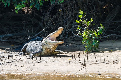 Full Day Cooktown Private Tour - Tourism Noosa 4
