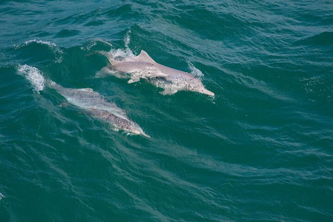 North Stradbroke Island Private Tour With Pickup - Tourism Noosa 0