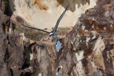 North Stradbroke Island Private Tour With Pickup - Tourism Noosa 2