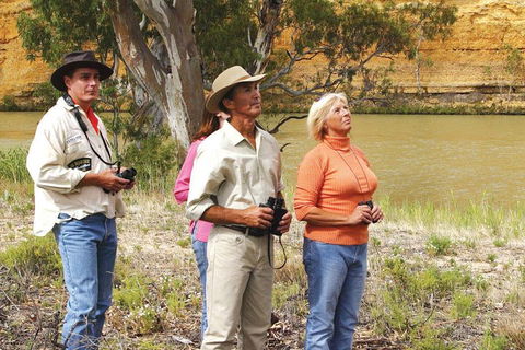 4-Night Murray River Cruise By Classic Paddle Wheeler PS Murray Princess - Tourism Noosa 2
