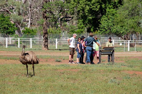 Yura Udnyu - Our Culture, Your Culture (Aboriginal Cultural Walk) - Tourism Noosa 1