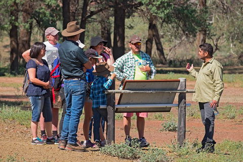 Yura Udnyu - Our Culture, Your Culture (Aboriginal Cultural Walk) - Tourism Noosa 2