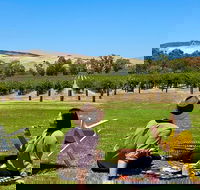 Private Picnic and Wine Tasting Experience in Barossa Valley - Tourism Noosa
