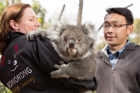 Bonorong Wildlife Park And Richmond Afternoon Tour From Hobart - Tourism Noosa 0