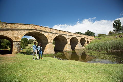 Bonorong Wildlife Park And Richmond Afternoon Tour From Hobart - Tourism Noosa 2