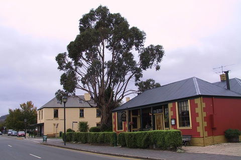 Bonorong Wildlife Park And Richmond Afternoon Tour From Hobart - Tourism Noosa 3