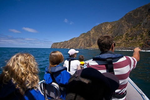 Seal Island Boat Tour From Victor Harbor - Tourism Noosa 0