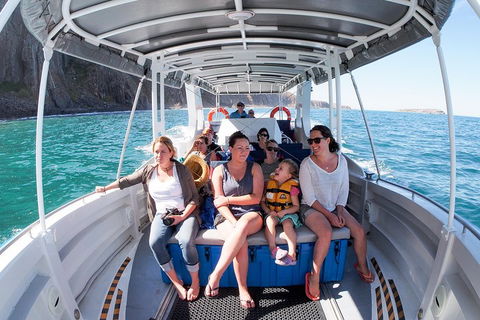 Seal Island Boat Tour From Victor Harbor - Tourism Noosa 1