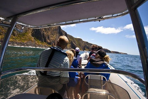 Seal Island Boat Tour From Victor Harbor - Tourism Noosa 2