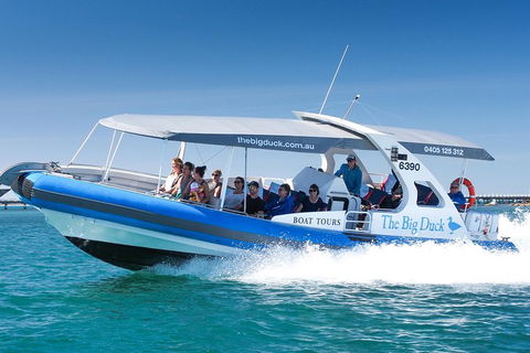 Seal Island Boat Tour From Victor Harbor - Tourism Noosa 3
