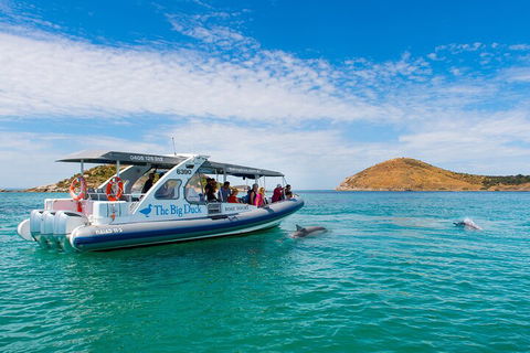Southern Ocean Adventure From Victor Harbor - Tourism Noosa 1