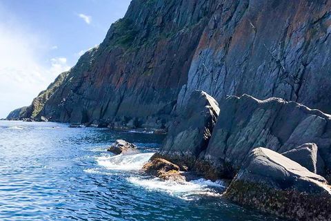 Southern Ocean Adventure From Victor Harbor - Tourism Noosa 3