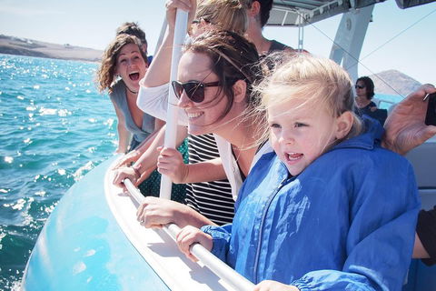 Southern Ocean Adventure From Victor Harbor - Tourism Noosa 4