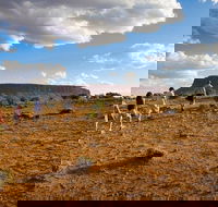 Mount Conner 4WD Small Group Tour from Ayers Rock including Dinner - Tourism Noosa