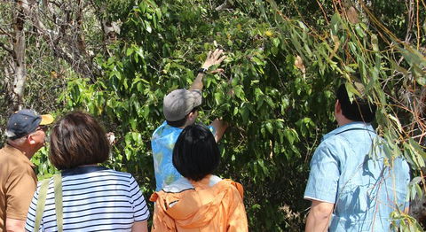 Magnetic Island Tour: Maggie Comprehensive - Tourism Noosa 4