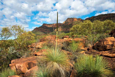 6-Day Eyre Peninsula & Flinders Ranges Adventure Tour - Tourism Noosa 1