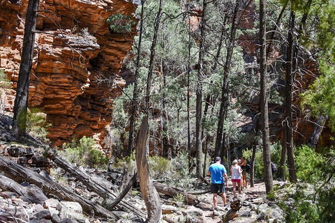 6-Day Eyre Peninsula & Flinders Ranges Adventure Tour - Tourism Noosa 5