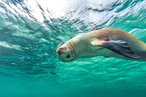 10-Day Adelaide To Perth Adventure Tour - Tourism Noosa 1