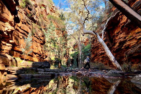 10-Day Adelaide To Perth Adventure Tour - Tourism Noosa 5