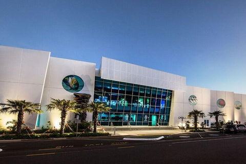 Cairns Aquarium Admission Ticket - Tourism Noosa 4