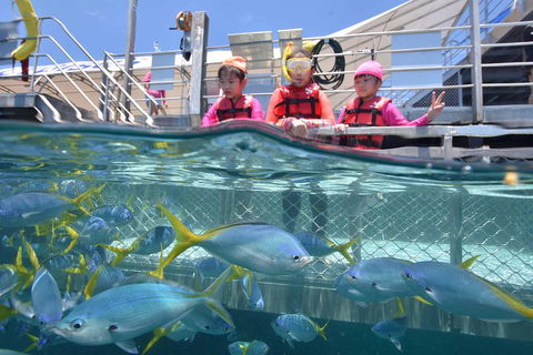 Outer Reef Pontoon Experience From Cairns - Tourism Noosa 0
