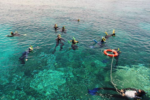 Seastar Luxury Outer Great Barrier Reef Island And Reef Tour From Cairns - Tourism Noosa 2