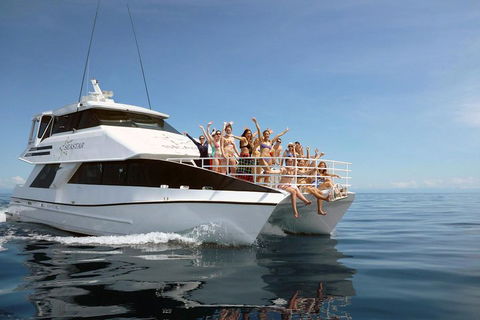 Seastar Luxury Outer Great Barrier Reef Island And Reef Tour From Cairns - Tourism Noosa 4