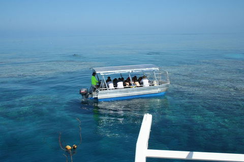 Seastar Luxury Outer Great Barrier Reef Island And Reef Tour From Cairns - Tourism Noosa 5