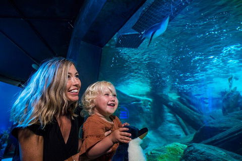 SEA LIFE Sunshine Coast Aquarium Entrance Ticket - Tourism Noosa 0