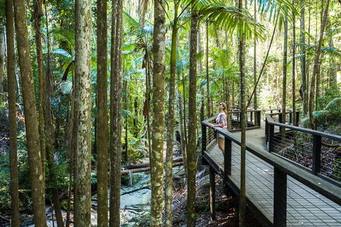 All-Inclusive Fraser Island Day Tour - Tourism Noosa 5