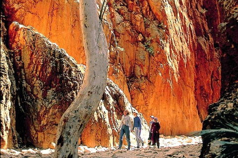 West MacDonnell Ranges Day Trip From Alice Springs - Tourism Noosa 3