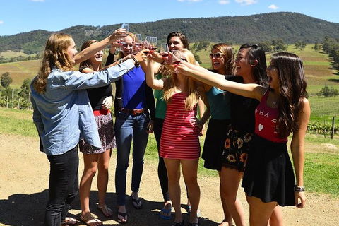 Hunter Valley Wine Tour From Sydney Incl Lunch, Cheese, Chocolate And Distillery - Tourism Noosa 3