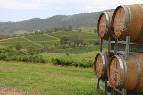 Hunter Valley Wine Tour From Sydney Incl Lunch, Cheese, Chocolate And Distillery - Tourism Noosa 5