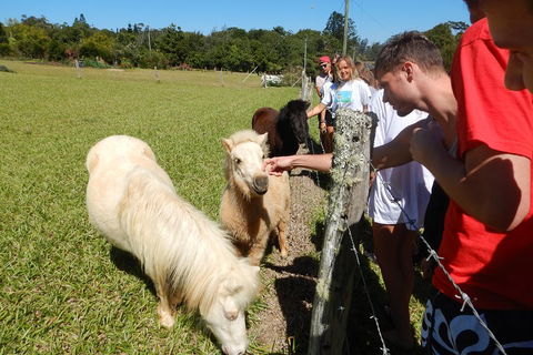 Atherton Tablelands Waterfalls Tour From Cairns - Tourism Noosa 4