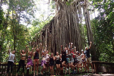 Atherton Tablelands Waterfalls Tour From Cairns - Tourism Noosa 5